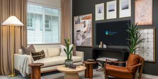 Havenly Prescott Gallery 15