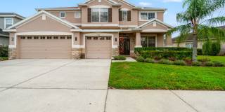 Beautiful Pool Home in Wesley Chapel - 4 bedrooms! Beautiful Pool Home in Wesley Chapel - 4 bedrooms! Gallery 1