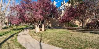 Updated 1 BDR with loft in Gunbarrel Gallery 30