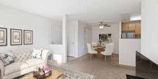 Lakeshore Apartments Gallery 13