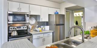 Serafina at South Mountain Gallery 17