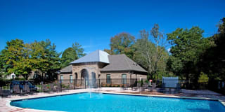 Goldelm at Cedar Bluff Gallery 16