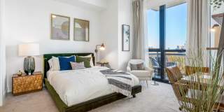 Aster Aster Gallery 27