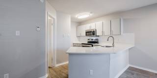 Wray North Dallas Gallery 37