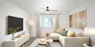 Palm Trace Landings Gallery 83
