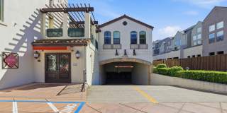 Availabe Now! Gallery 1