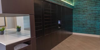 Mira Gallery 40