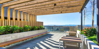 1150 Clay Gallery 4