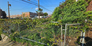 5215 TABOR Gallery 2