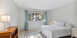 6 Woodland Way Gallery 16