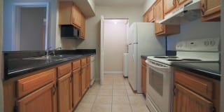 Palms of Clearwater Gallery 44