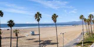 3007 Ocean Front Walk Gallery 30