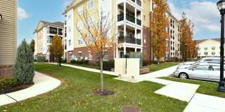 541 E Celebration Way Gallery 1