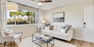 Lexington Palms at the Forum Gallery 3