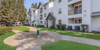 The Hazelwood Gallery 6