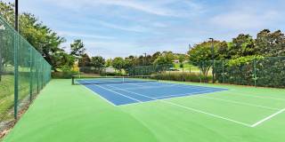 Polo Park Gallery 41