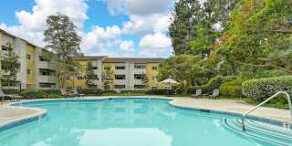 Elán Cardiff by the Sea Apartment Homes Gallery 4