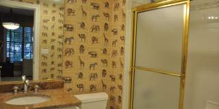 518 Seneca Green Way Gallery 8