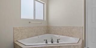 6263 VIALE DEL SOL Avenue Gallery 3