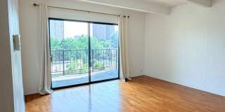 High-Rise in Cheesman Park Gallery 19