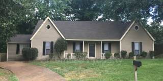7019 Shadow Oaks Dr Gallery 2