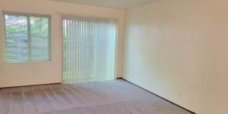 Tamarac Apartments Gallery 38
