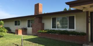 936 E Collins Ave Pool Home Gallery 1