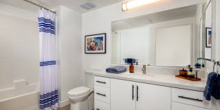 Aston at Gateway Gallery 16