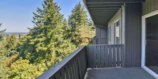 River Cliff Gallery 18