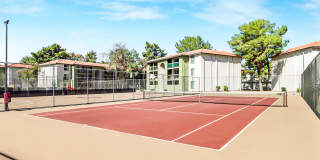 Sahara and Playa Palms Apartments Gallery 39