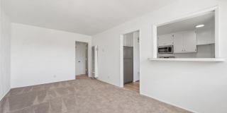 350 Y Place Gallery 2