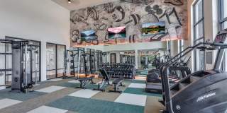 The Henley Gallery 14