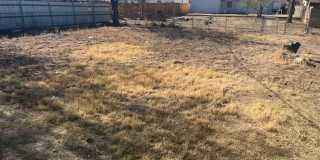 Room for Everyone! Charming 4-Bed 1.5 Bath Gallery 8