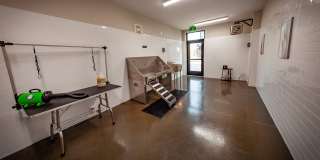 Vanguard at 16 Tech Gallery 15