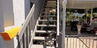 16 Forest Drive Gallery 1