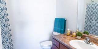 Brant Creek Gallery 7