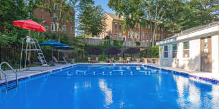 The Oliver in Alexandria Gallery 6