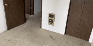 Linden Apartments Gallery 11