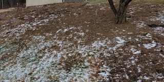 320 TROUTMAN Road Gallery 1