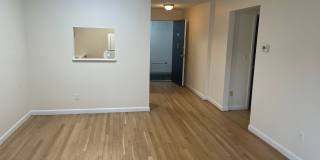 No Fee Spaciuos 1st Floor 2 Bed  Lead free Laundry, Parking Available or street Gallery 3