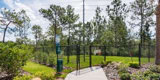 Cortland World Gateway Gallery 30