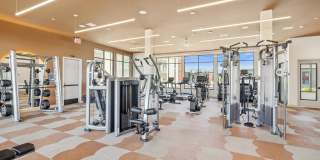 The Braydon Gallery 40