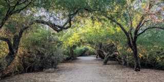 23833 S Pleasant Way Gallery 26