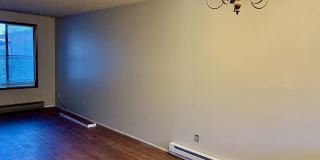 908 Liberty Street - C Gallery 12