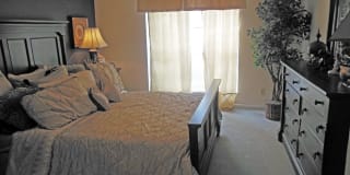 Walden Pond Gallery 7