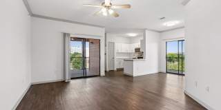 401 Teravista Gallery 13