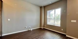 Mangold831 (KC-LN) Gallery 10
