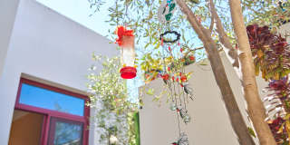 219 Equestrian Avenue Gallery 18