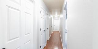 4715 Bishops Castle Dr Gallery 21