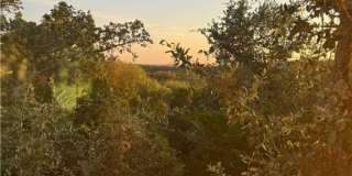 1200 Willow Drive Gallery 23